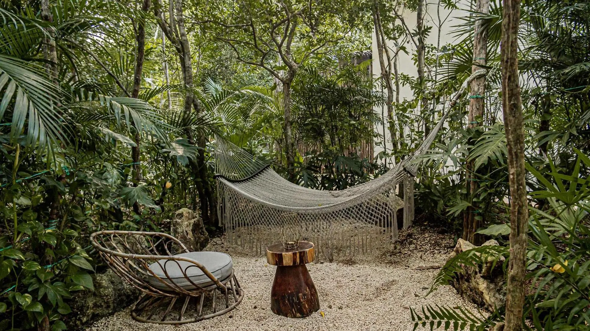 Appartamento Downtown Delight -Roof With Pool & Bbq & Jungle Gym Tulum
