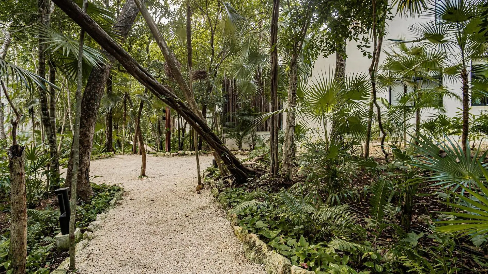 Appartamento Downtown Delight -Roof With Pool & Bbq & Jungle Gym Tulum