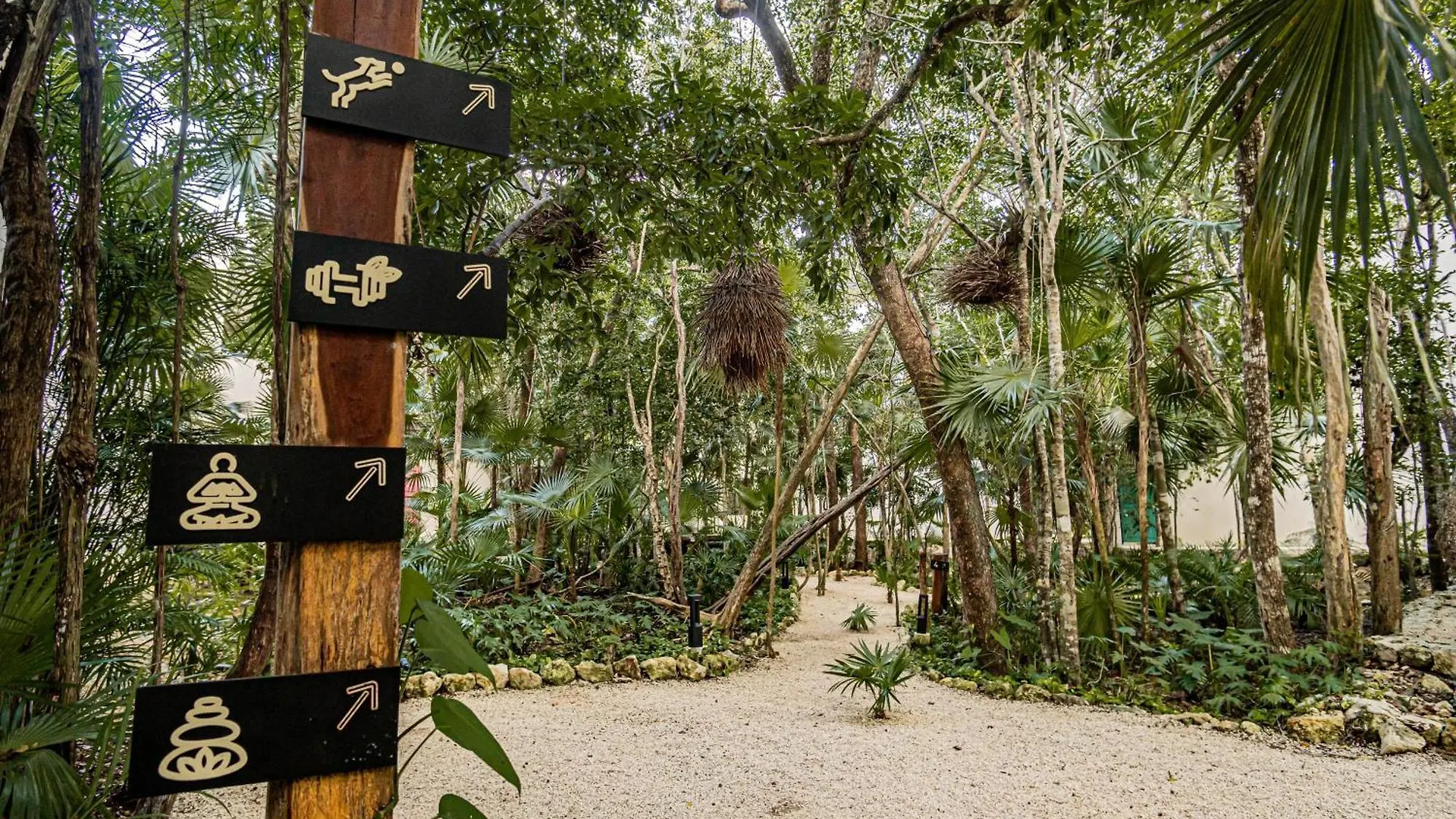 Appartamento Downtown Delight -Roof With Pool & Bbq & Jungle Gym Tulum